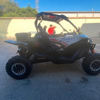 CFMOTO ZFORCE 1000
