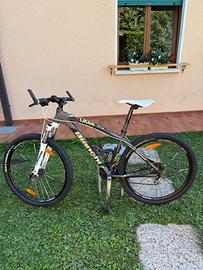 Bicicletta bianchi montain bike