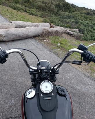 Harley-davidson Dyna Street Bob