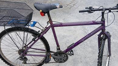 Bicicletta da donna bici
