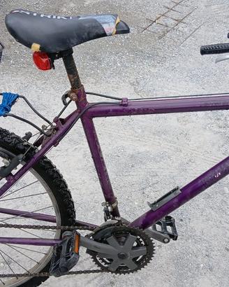 Bicicletta da donna bici