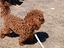 Immagine 4
