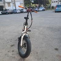 bici elettrica 