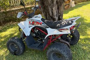 Quad 125 LEM