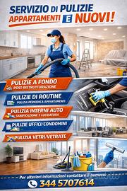 Pulizie professionali