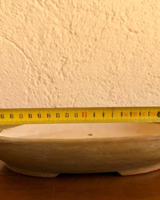 Vaso bonsai