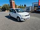 fiat-panda-1-1-actual