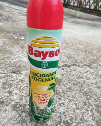 Lucidante fogliare Baysol