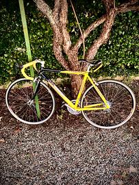 Bicicletta da corsa  -Marca Carrera-