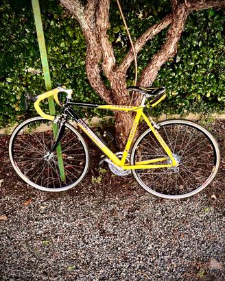 Bicicletta da corsa  -Marca Carrera-