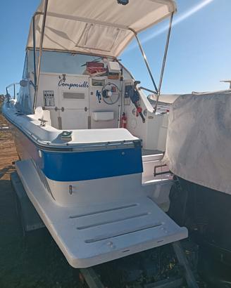 Pilotina salpa gs19+ Suzuki 80cv 