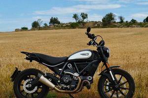 Ducati Scrambler 803 icon dark