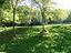 Immagine 12