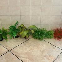 piane finte per acquario