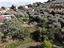 Immagine 23
