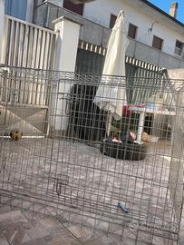 Gabbia cane taglia xxl