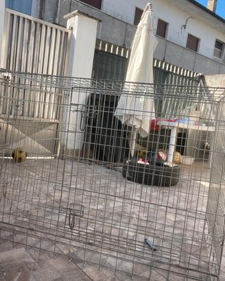 Gabbia cane taglia xxl