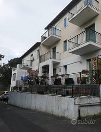 Monolocale con cantina e posto auto
