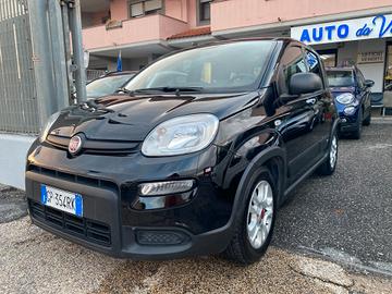 FIAT Panda 1.0 hybrid 5p CITY LIFE Cerchi in lega/