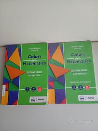 Colori della Matematica Geometria + Quaderno 