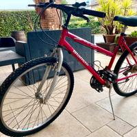Bicicletta Bianchi 26” Cambio Shimano