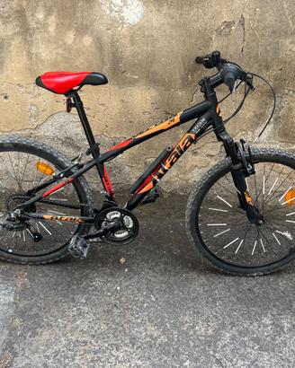 Atala race 24