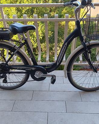 bicicletta elettrica 