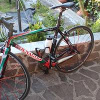 Colnago