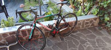 Colnago