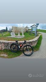 MTB Merida 