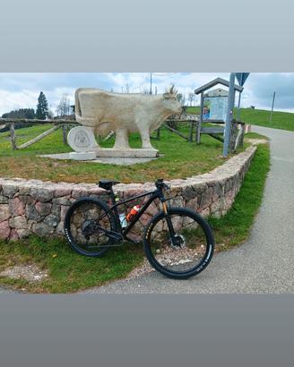 MTB Merida 