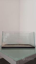 Acquario