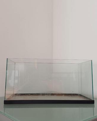 Acquario