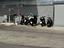 Immagine 14