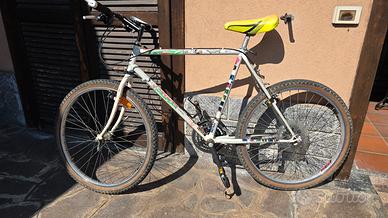 mountain bike condizioni discrete