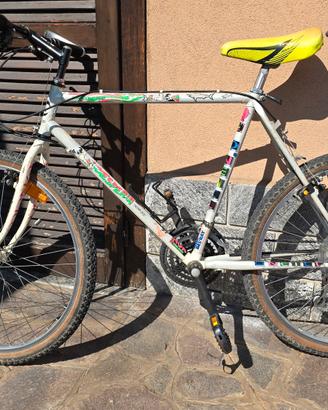 mountain bike condizioni discrete