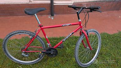 Bici da uomo 