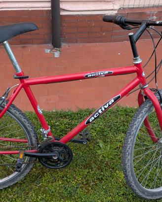 Bici da uomo 