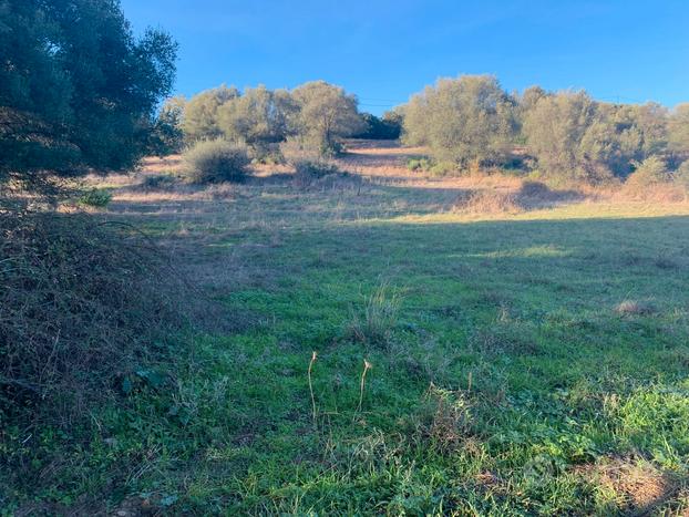 Terreno agricolo San Teodoro