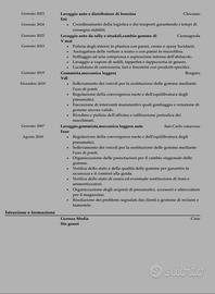 Gommista,autolavaggio,manovale edile