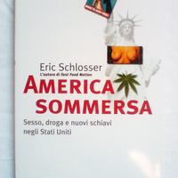 ERIC SCHLOSSER - AMERICA SOMMERSA Libro