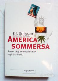 ERIC SCHLOSSER - AMERICA SOMMERSA Libro