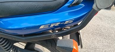 Kawasaki ER 5 
