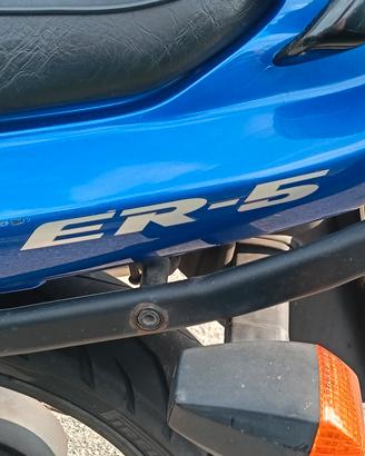 Kawasaki ER 5 