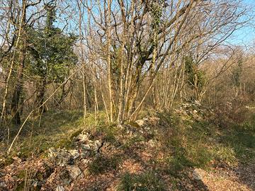 Terreno agricolo