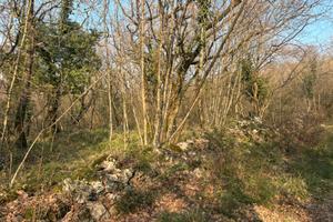 Terreno agricolo