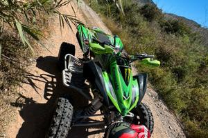 Kawasaki kfx