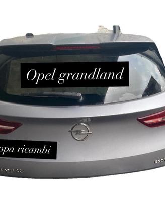 Portello Portellone Posteriore Opel Grandland