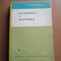 *Testo scolastico anni '60*

Elementi di algebra 1