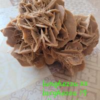 rosa del deserto